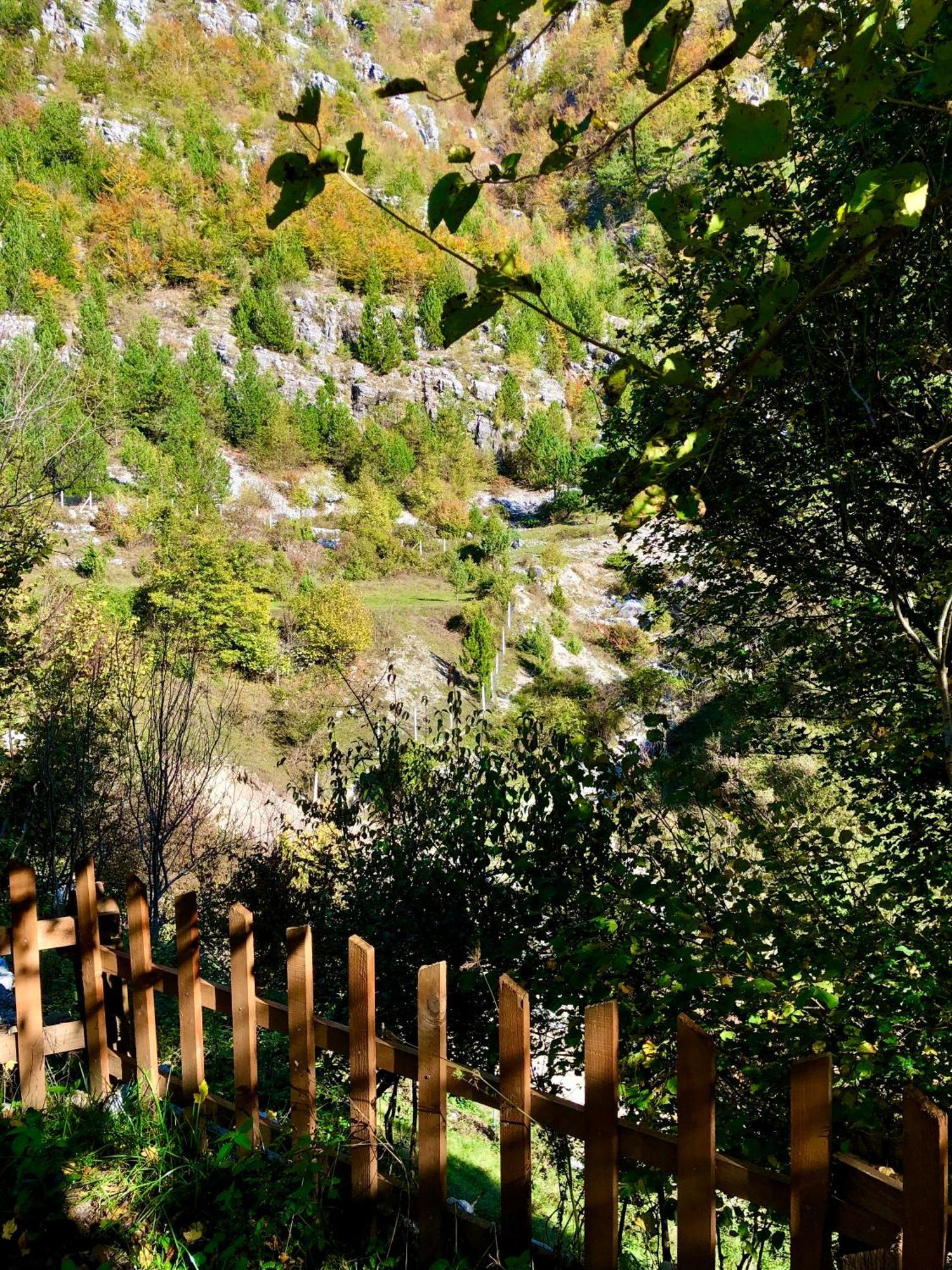 Bujtina Pllumi Theth Bed & Breakfast Exterior foto